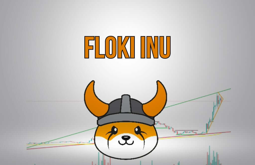 Floki Inu and its purpose 