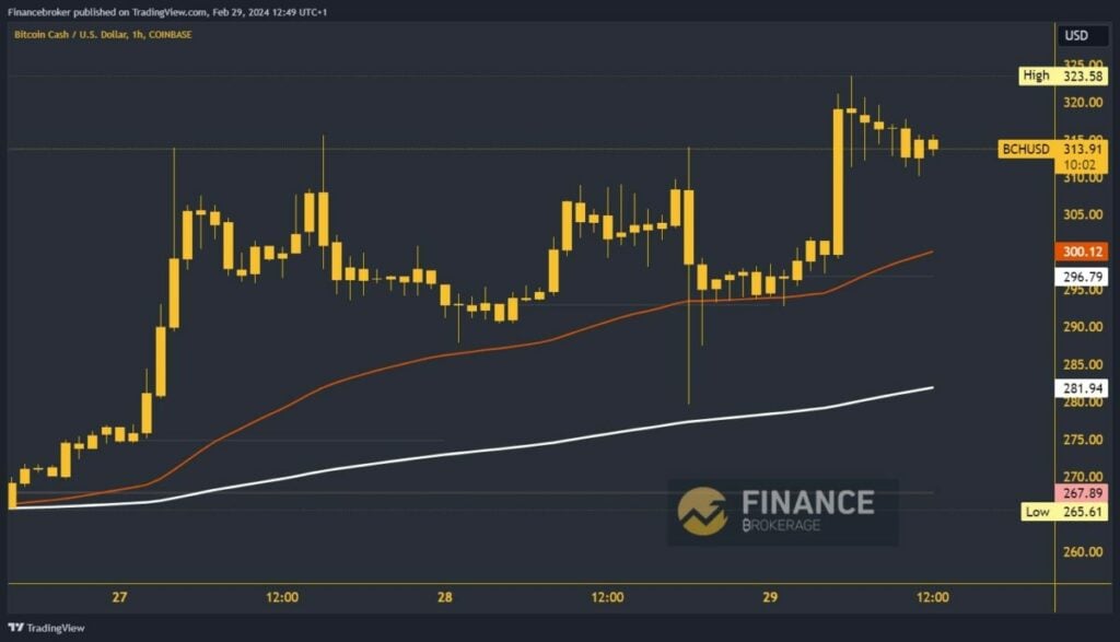 Bitcoin Cash Chart Analysis