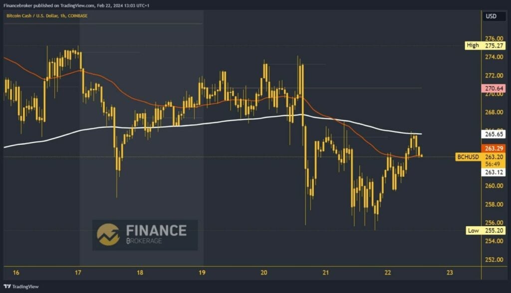 Bitcoin cash chart analysis