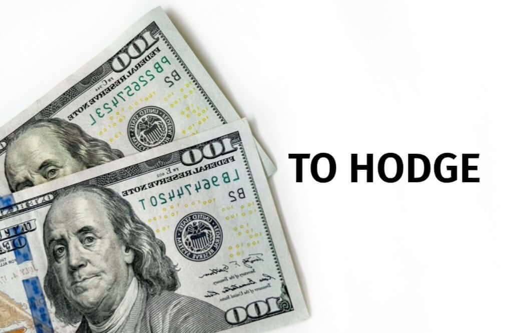 Converting United States Dollar to HOGE 