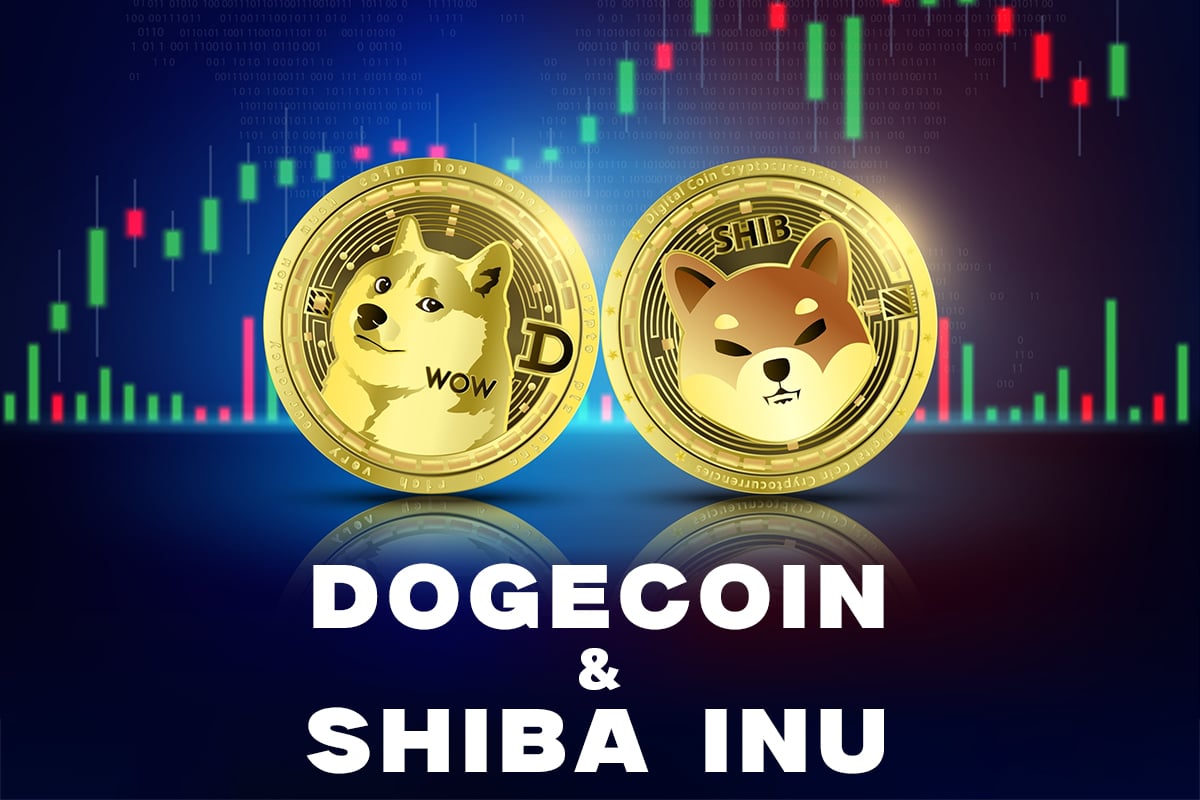 Dogecoin and Shiba Inu